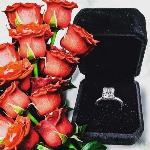 Customer photo review of 2ct Brussels Engagement Ring