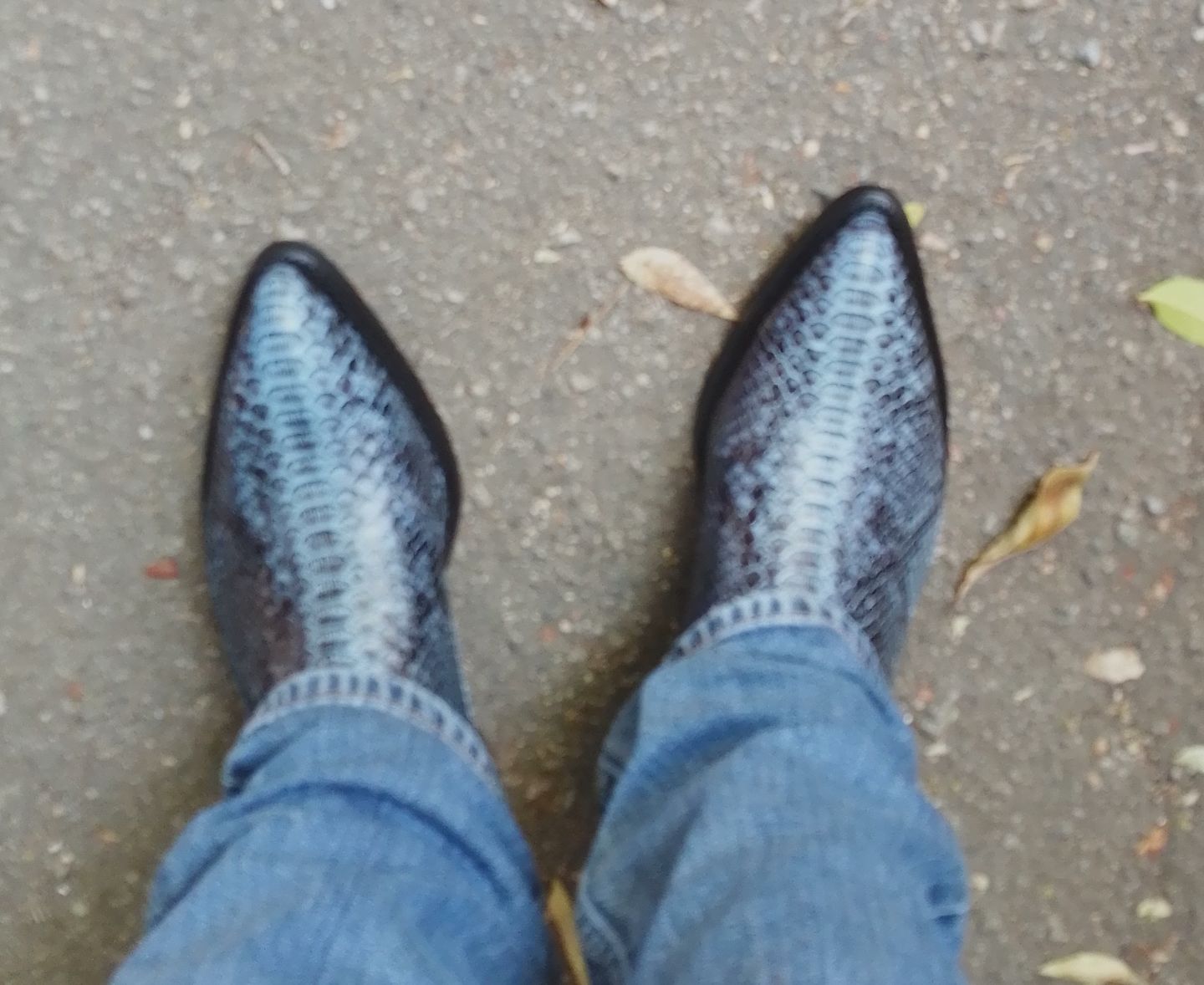Customer photo review of Cowtown Men’s Back Cut Python Exotic Boots W808