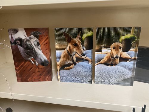Customer photo review of 15 x 23 cm Free Standing Acrylic Photo Block