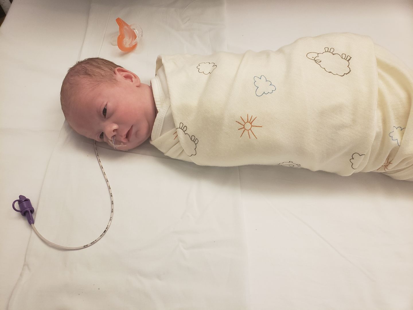 Customer photo review of Swaddle Blanket, Merino Wool, Newborn to 3 Months, Sheep