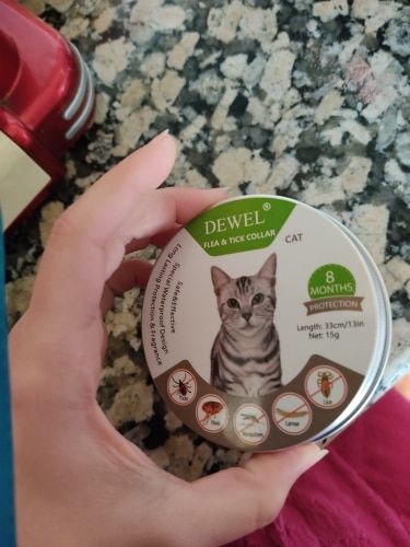Customer photo review of Copy of Anti Bugs Pets Collar Waterproof 8 Month Protection