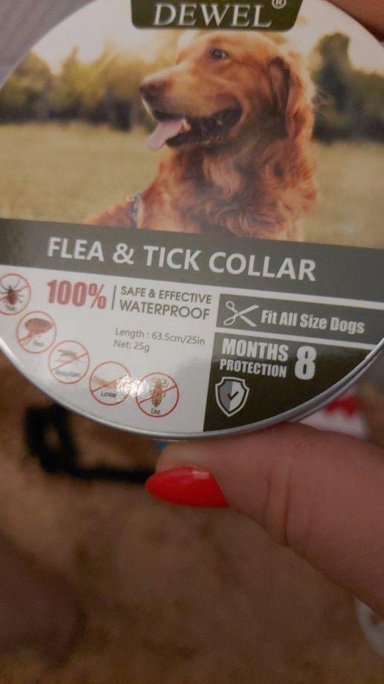Customer photo review of Copy of Anti Bugs Pets Collar Waterproof 8 Month Protection