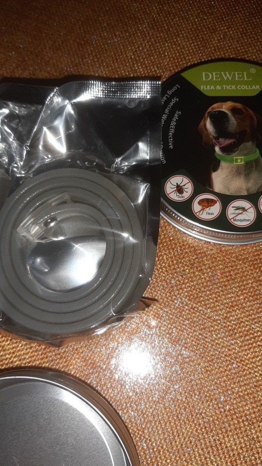 Customer photo review of Copy of Anti Bugs Pets Collar Waterproof 8 Month Protection