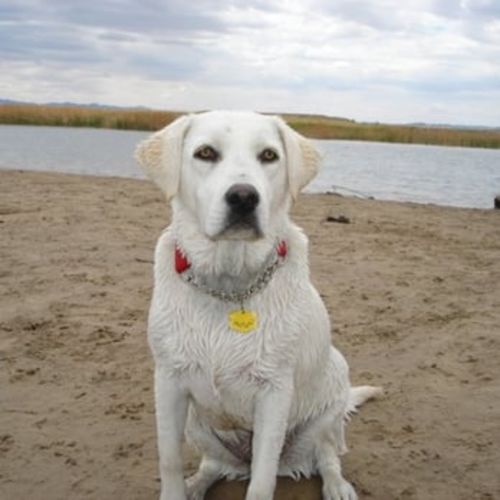 Customer photo review of Small Space, Big Taste™ Cookbook