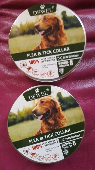 Customer photo review of Copy of Anti Bugs Pets Collar Waterproof 8 Month Protection