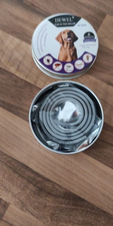 Customer photo review of Copy of Anti Bugs Pets Collar Waterproof 8 Month Protection