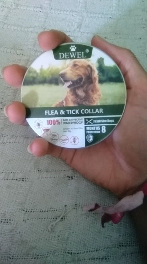 Customer photo review of Copy of Anti Bugs Pets Collar Waterproof 8 Month Protection
