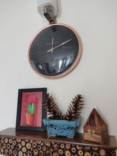 Customer photo review of Crimson Succulent