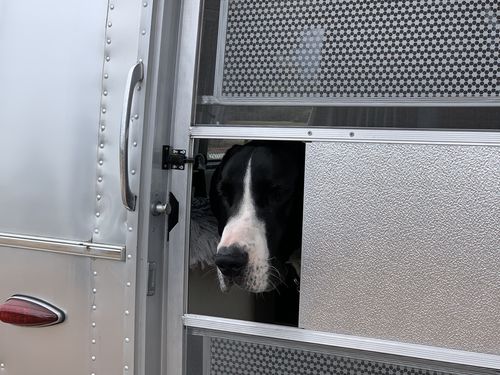 Customer photo review of KYD Blends Bundle (Free Shipping)