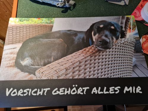 Customer photo review of Personalisierbare -Foto- Futtermatte mit Text