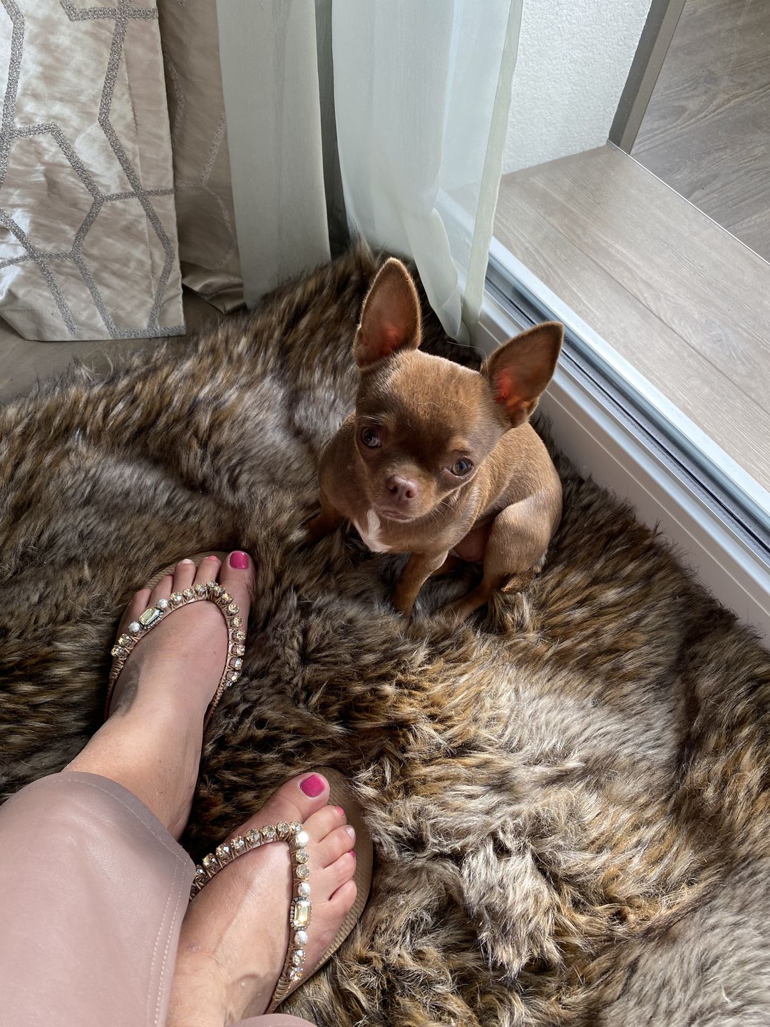 Customer photo review of Golden Pearl Flip Flops