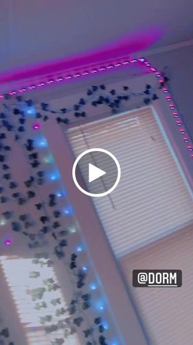 Customer video review of Wall Vines