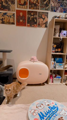 Customer photo review of Makesure Modern Cat Litter Box