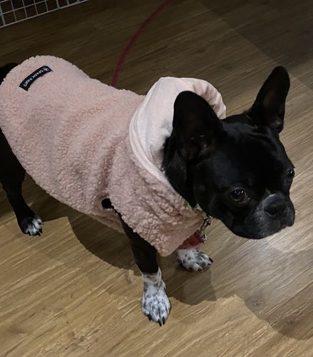 Customer photo review of Teddy Sherpa Jacket - Pink