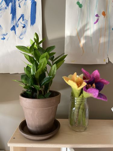 Customer photo review of ZeeZee