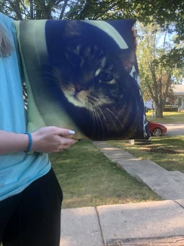 Customer photo review of Create A Custom Cat Pillow