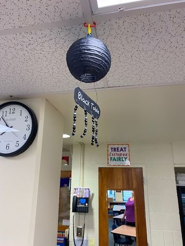 Customer photo review of 6" Black Round Paper Lantern, Even Ribbing, Chinese Hanging Wedding & Party Decoration