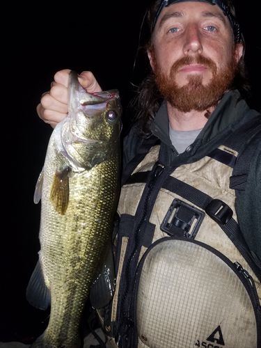 Customer photo review of Headbanger Spitfire 6.5"