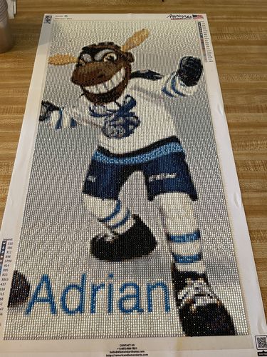 Customer photo review of Custom Diamond Painting Kits for Adults DIY 5D - Photo Diamond Art Shipped from USA