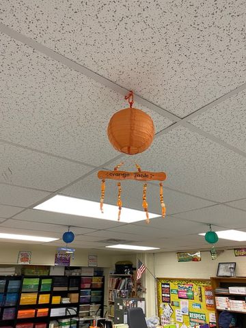 Customer photo review of 6" Persimmon Orange Round Paper Lantern, Even Ribbing, Chinese Hanging Wedding & Party Decoration