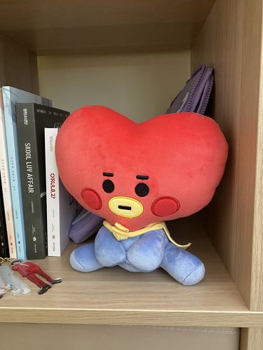Customer photo review of [Official] BT21 BABY SITTING DOLL  7.9" (20CM)