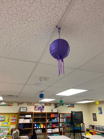 Customer photo review of 6" Dark Purple Round Paper Lantern, Even Ribbing, Hanging Decoration