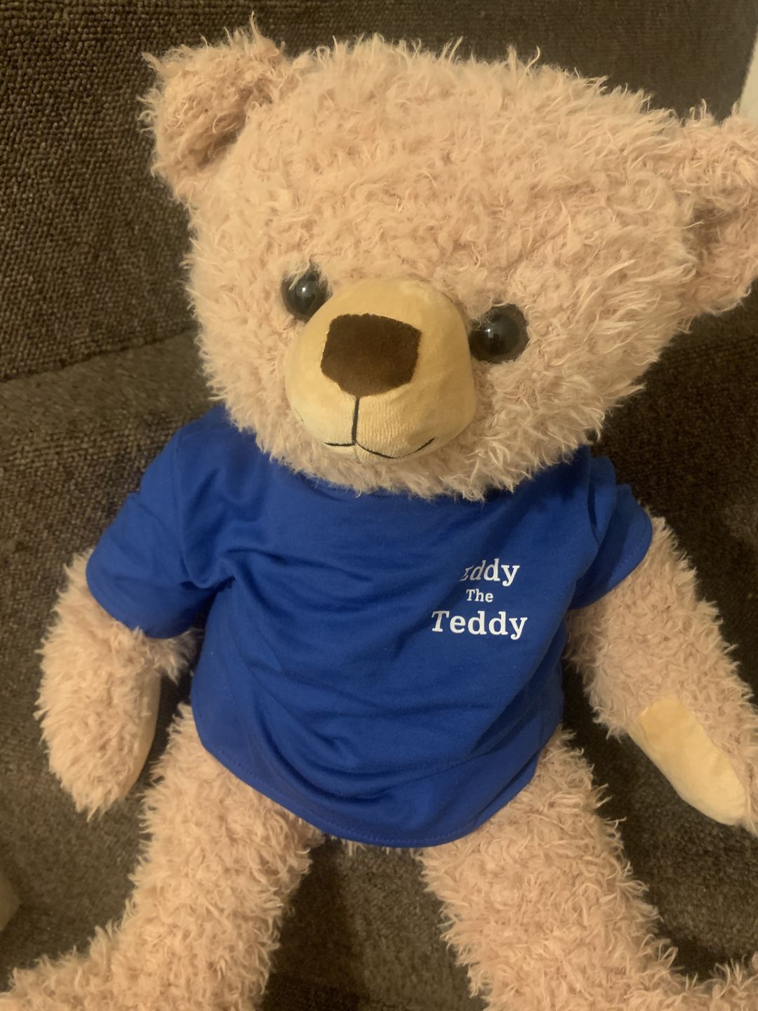 Customer photo review of 65cm Original Eddy the Teddy