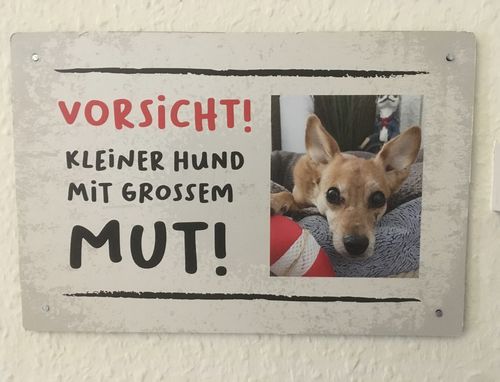 Customer photo review of Personalisierbares -Foto- Schild "kleiner Hund"
