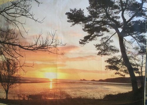 Customer photo review of Photo Tea Towel