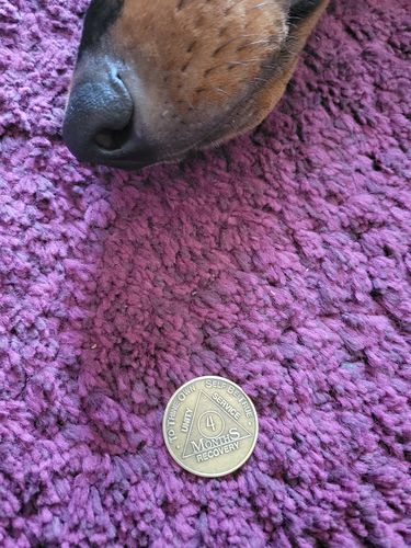 Customer photo review of Recovery Mint 4 Months Bronze AA Meeting Chips - Four Months Sobriety Coins/Tokens