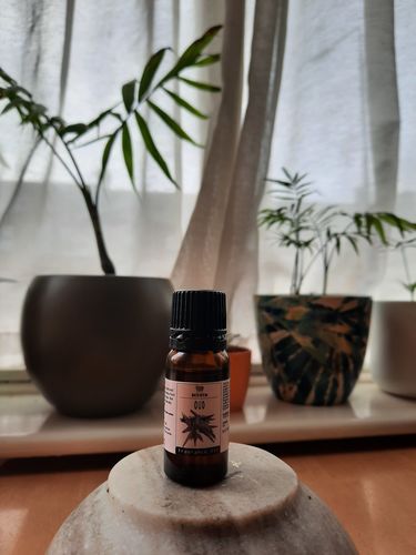 Customer photo review of Clove Bud Organic Essential Oil