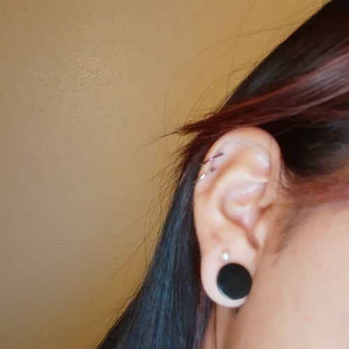 Customer photo review of Annealed Seamless Segment Ring Septum, Daith, Nose