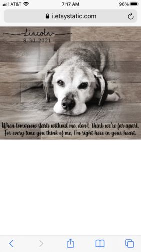 Customer photo review of Wooden Animal Portrait Sign | Personalized Canvas Wall Art