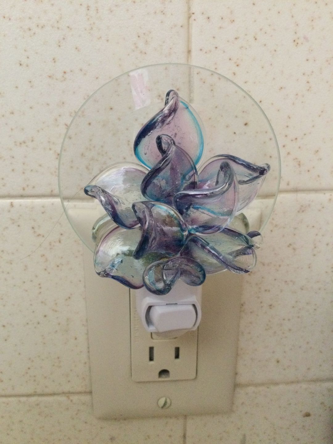 Customer photo review of Memorial Nightlight Flower with Cremation Ash