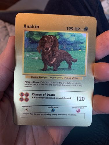 Customer photo review of Product options