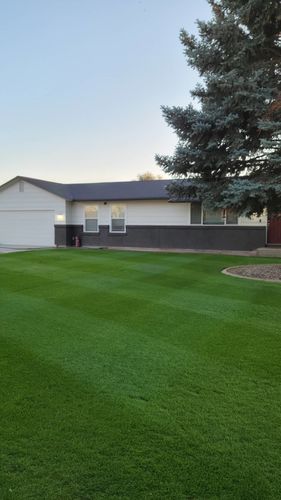 Customer photo review of 16-21-2 GreenePop 1 Gallon (Build-a-Box)