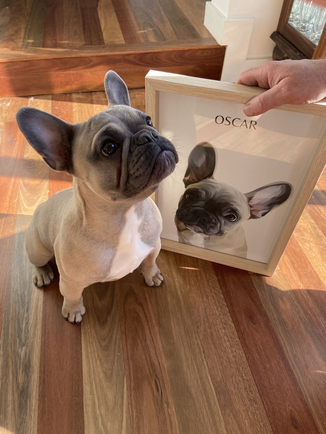Customer photo review of Custom Pet Portrait (Digital Copy)