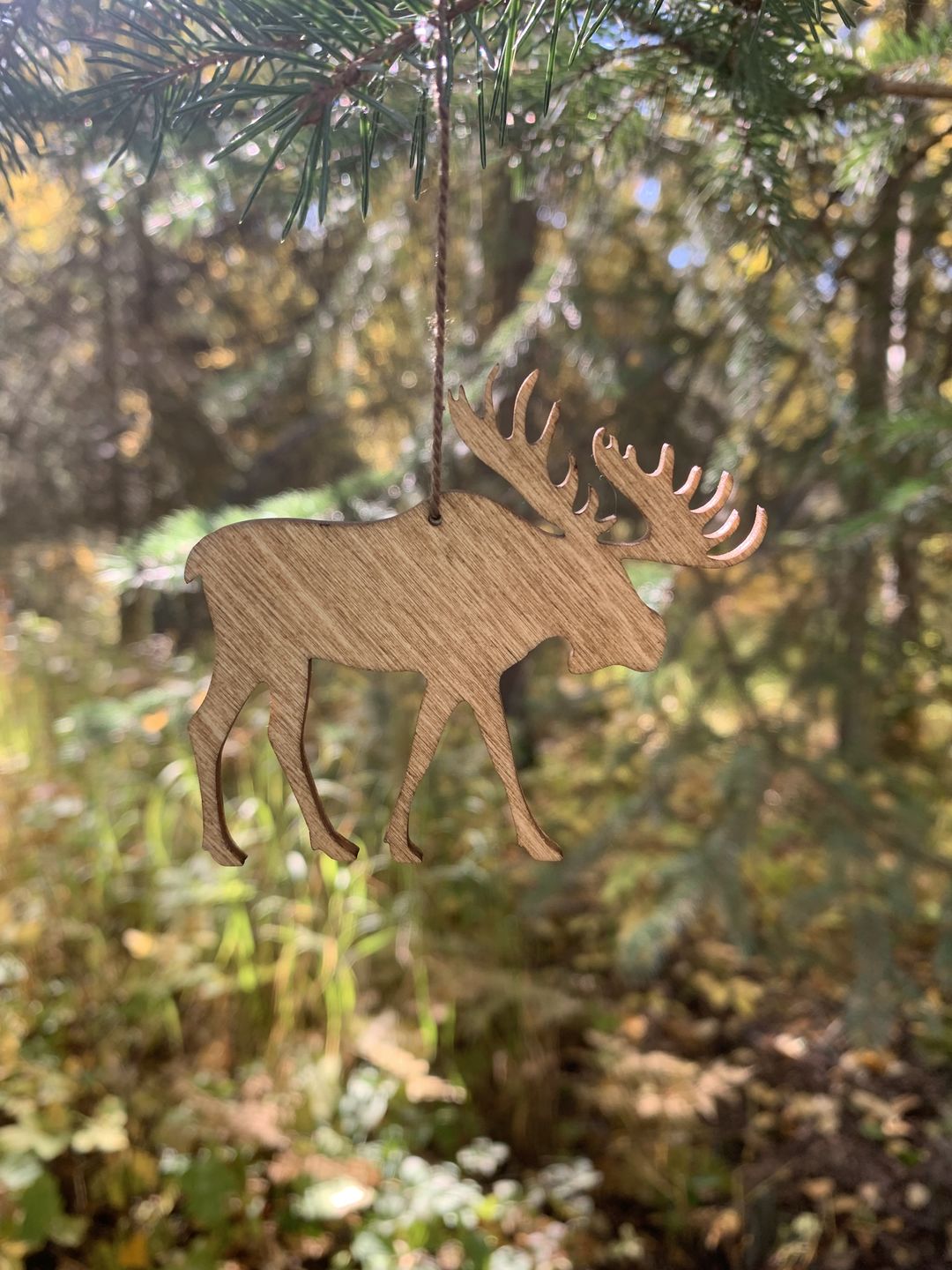 Customer photo review of Unfinished Wooden Moose Shape - Animal - Craft - up to 24" DIY