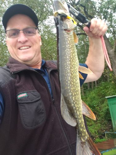 Customer photo review of Headbanger Shad 4.5"