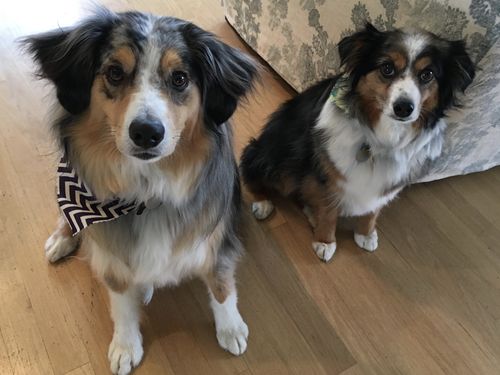 Customer photo review of Small Space, Big Taste™ Cookbook