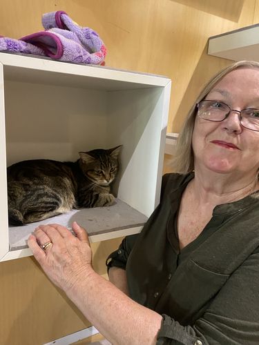 Customer photo review of Luxury Shoulder Bag Top-handle (Summer Collection)