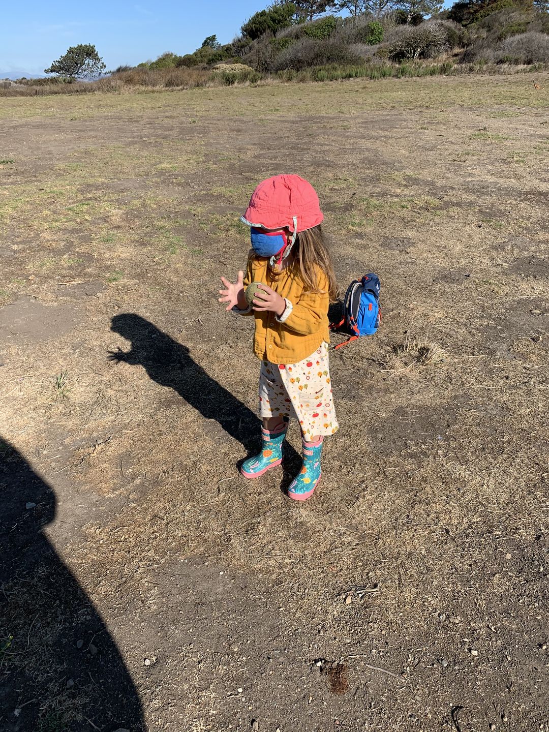 Customer photo review of Apple Trees Interlock Playdays Dress