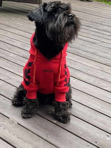 Customer photo review of "WOOF" Dog Hoodie - Red