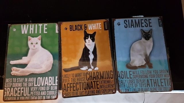 Customer photo review of Cutie Catz Vintage Style Cat Poster