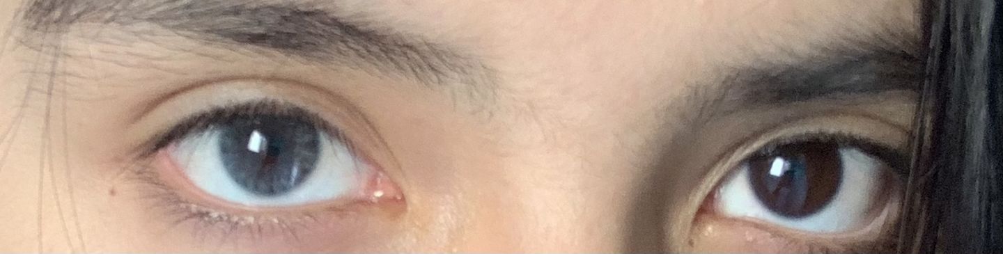 Customer photo review of Siesta Crystal Iris Blue