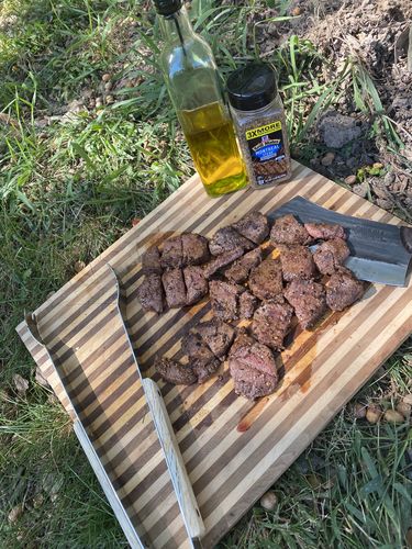 Customer photo review of Acuto™