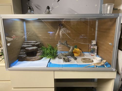 Customer photo review of 4'x2'x2' Wood Panel Reptile Enclosure by Zen Habitats