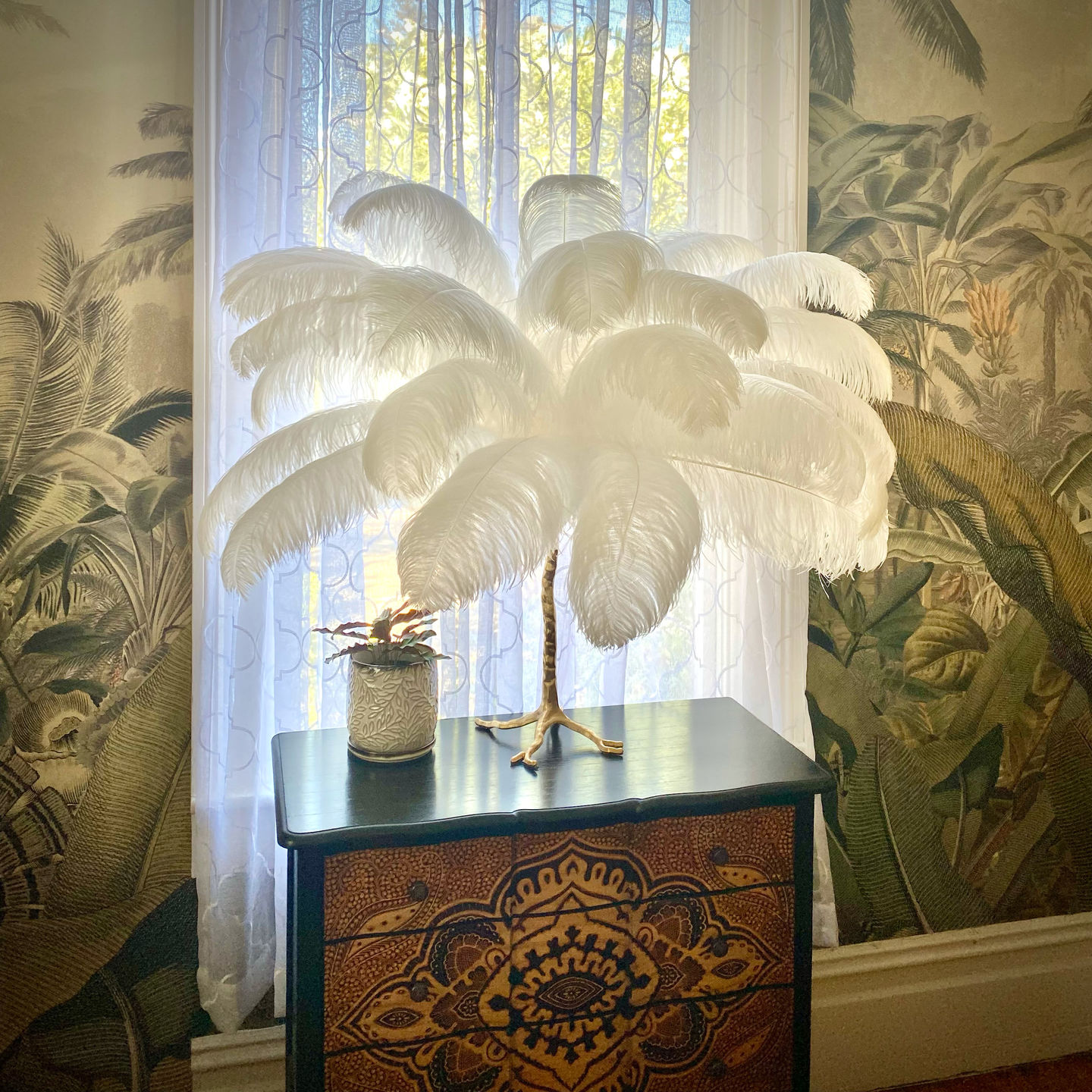 Customer photo review of Ostrich Wing Feathers | Ostrich Plumes
