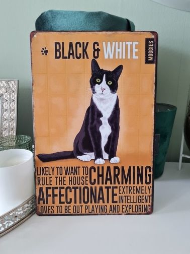 Customer photo review of Cutie Catz Vintage Style Cat Poster