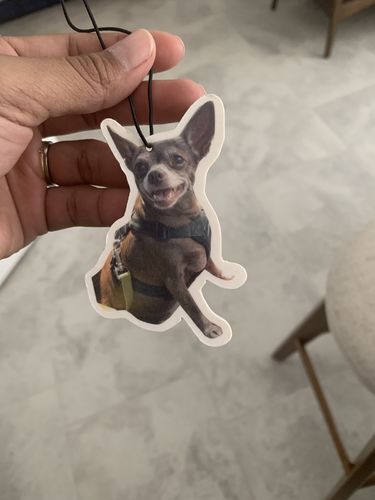 Customer photo review of One Custom Air Freshener